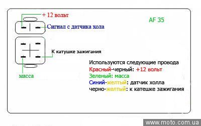 Поздравление своей хозяйки с днем рождения Поздравление своей хозяйки с днем рождения