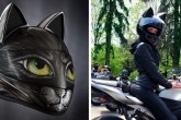 Кошка - шлем