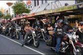 В Новой Зеландии снова пытаются запредить парад мотоциклов с участием обнаженных порнозвезд - "BOOBS ON BIKES"
