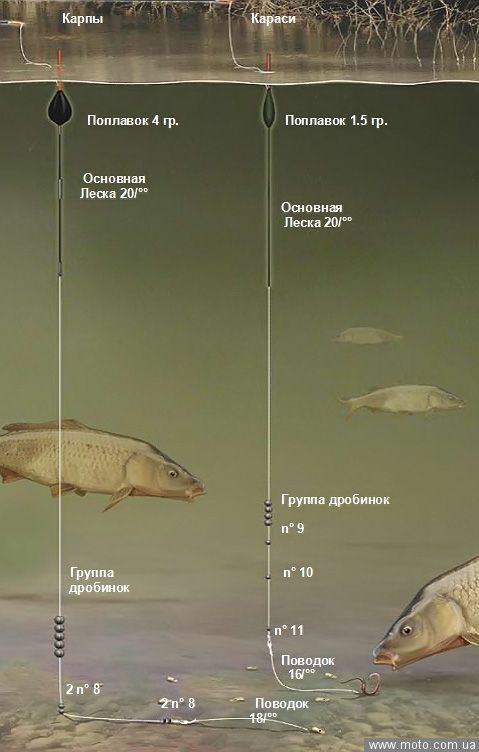 Сделать японские шторы Сделать японские шторы