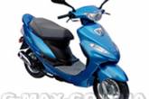 G-max Dio City 50