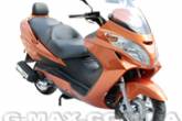 G-max Bull 150