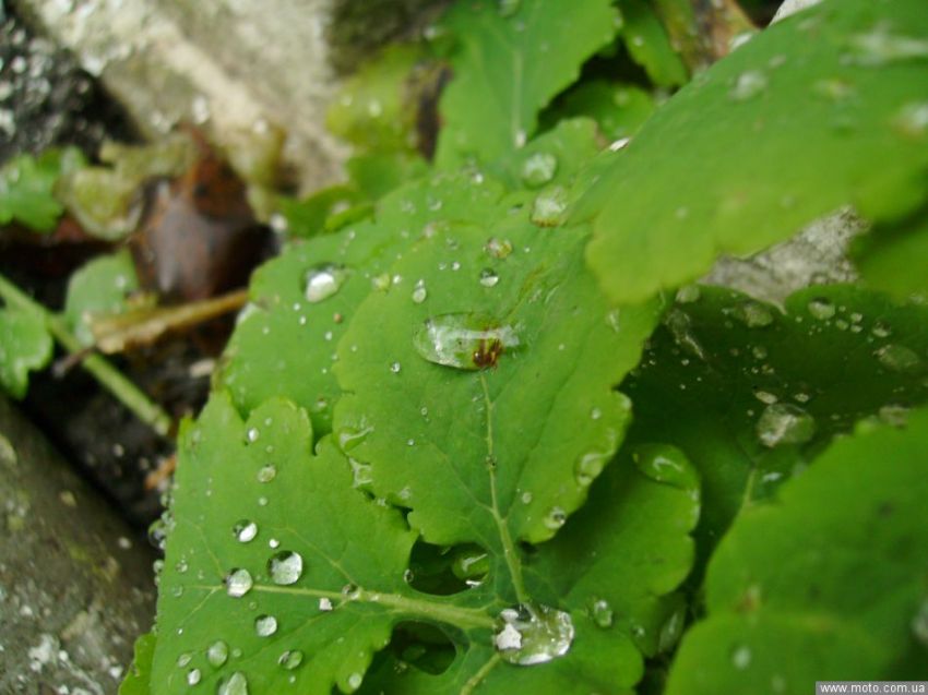 фото 8