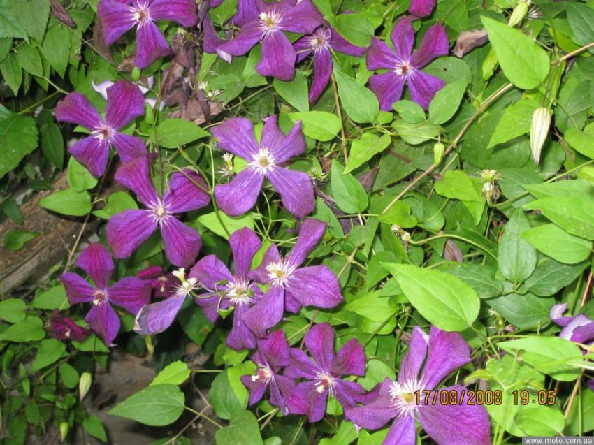 фото 6