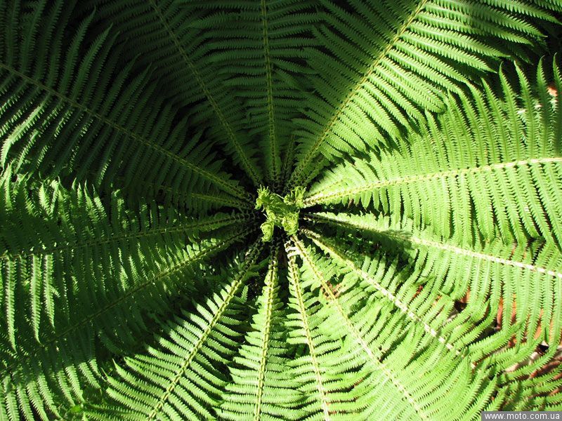 фото 1
