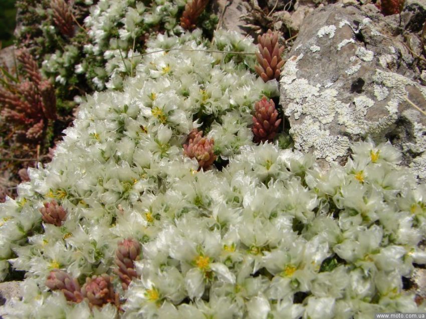фото 6