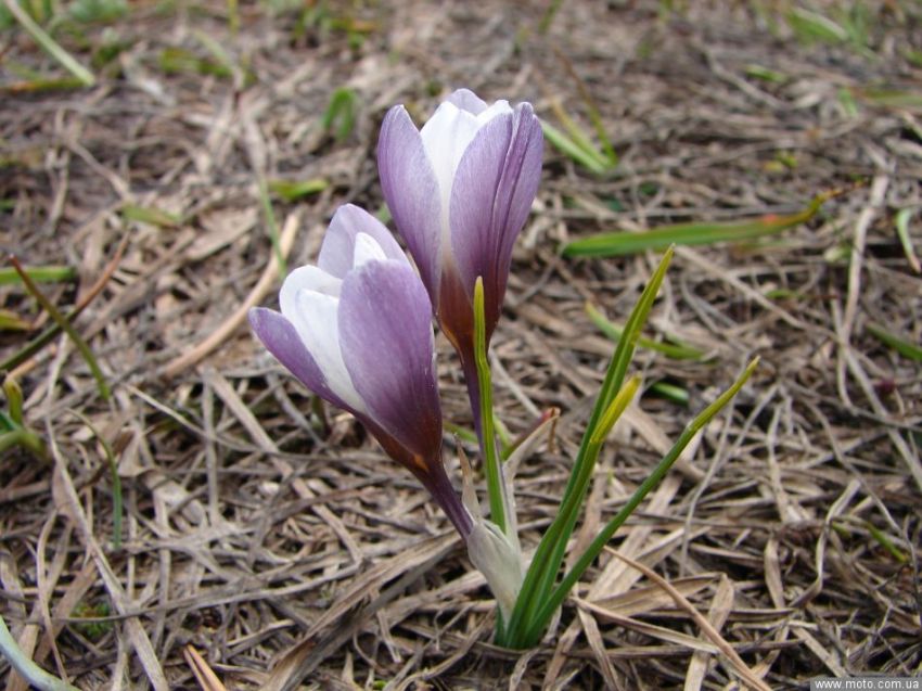 фото 2