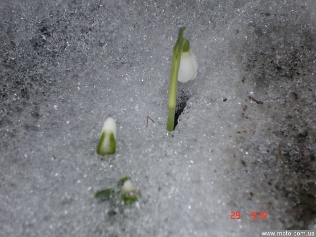 фото 4