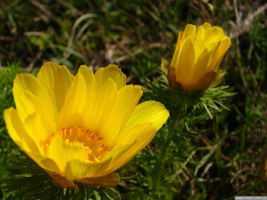 фото 2