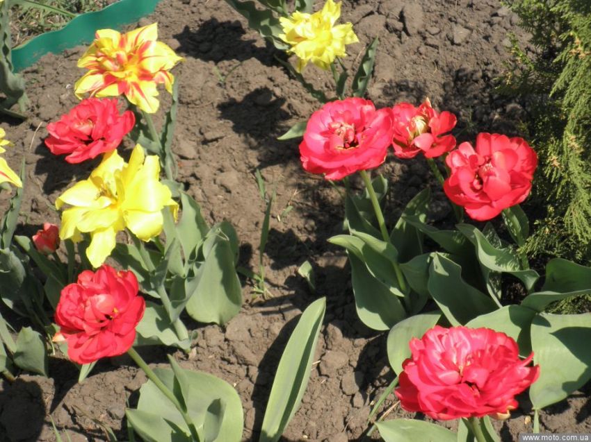 фото 2