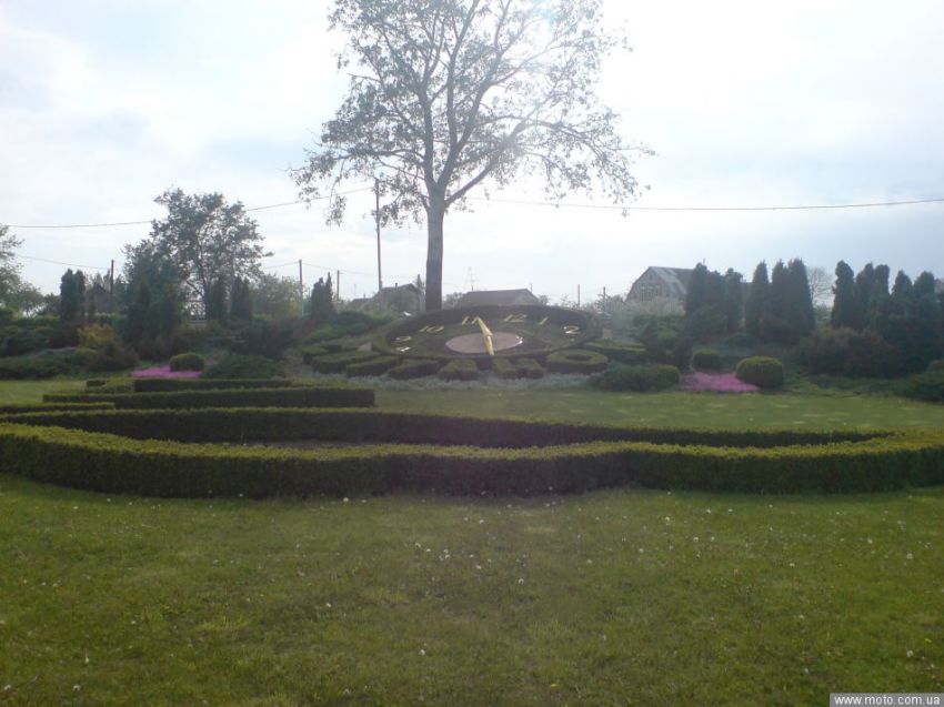 фото 9