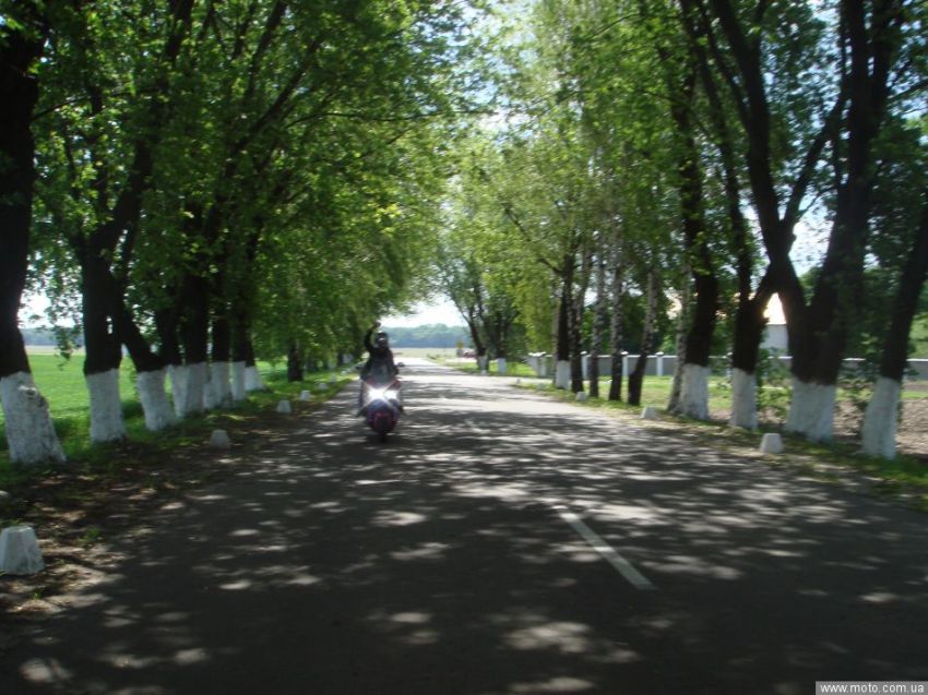 фото 3