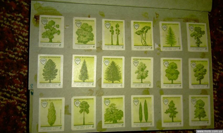 фото 3