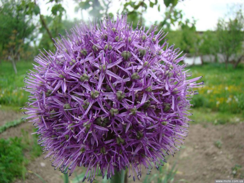 фото 6