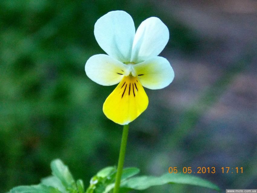 фото 4