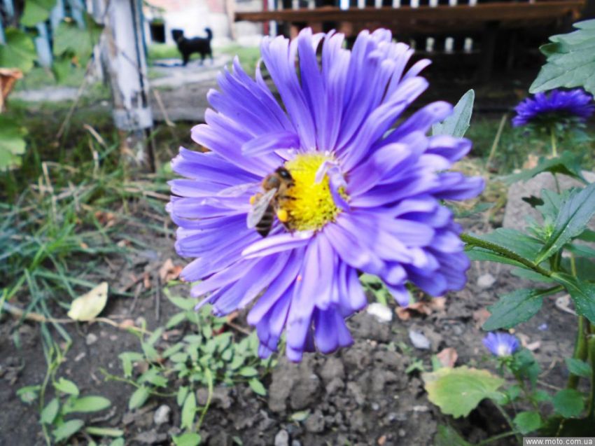 фото 4