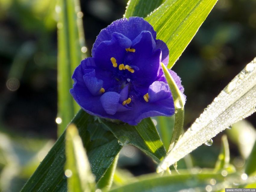 фото 3