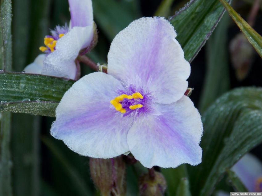 фото 4