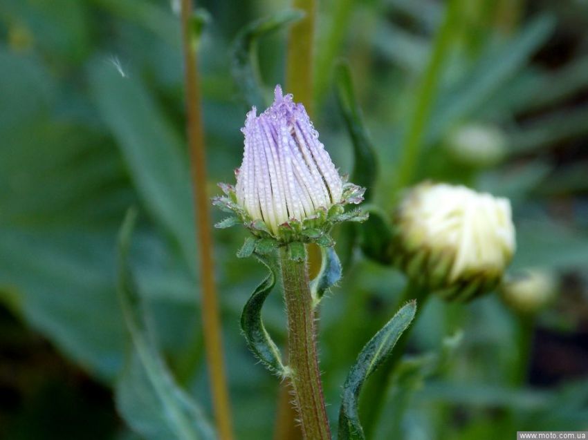 фото 6