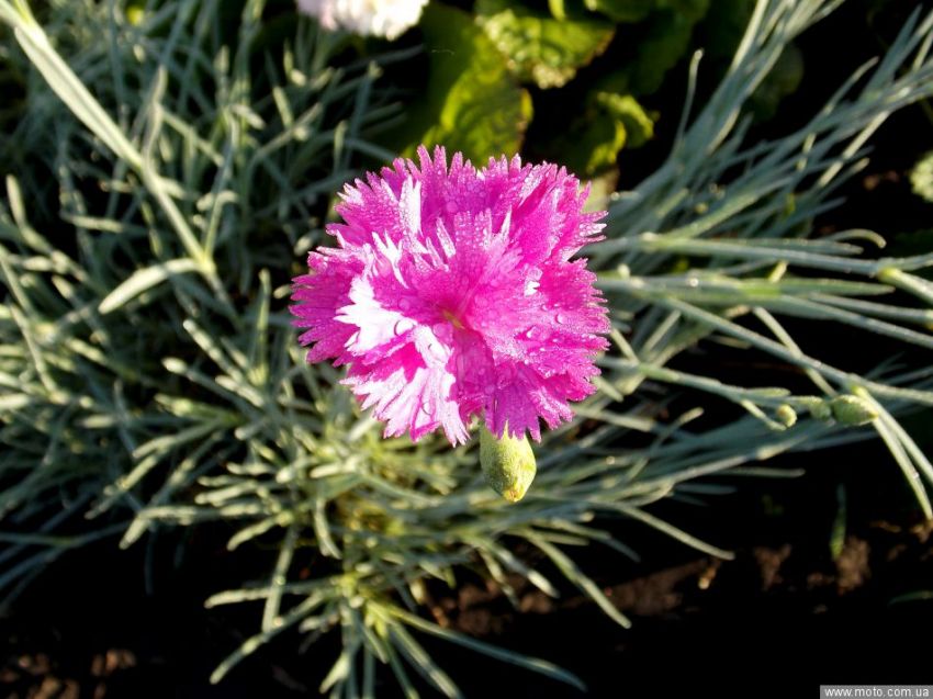 фото 2
