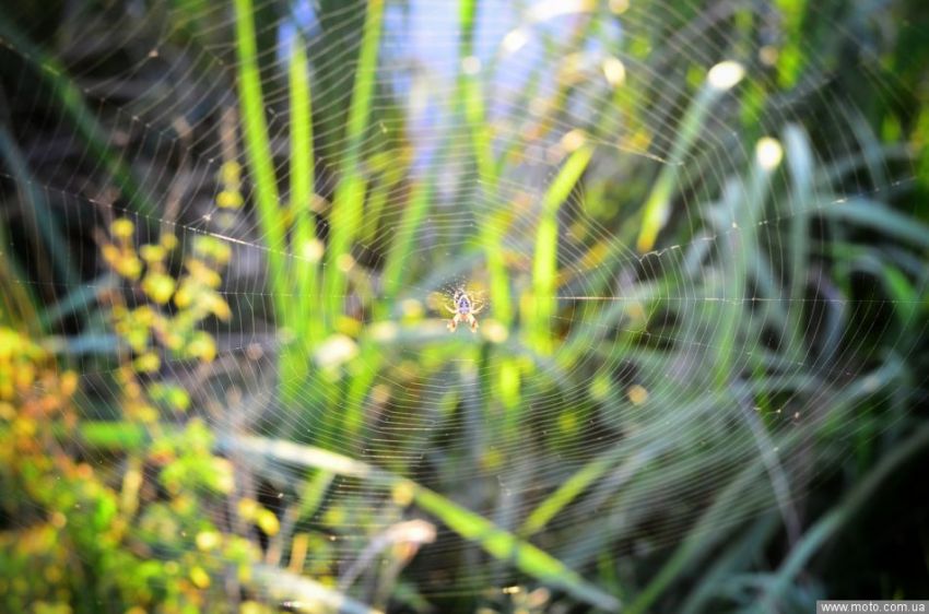 фото 8