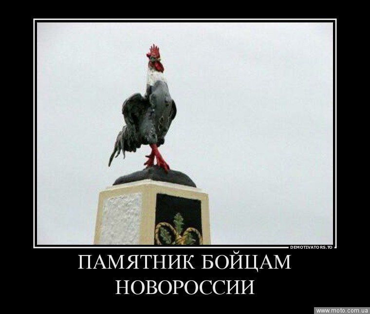 СБУ задержала корректировщика огня террористов "ЛНР" - Цензор.НЕТ 1010