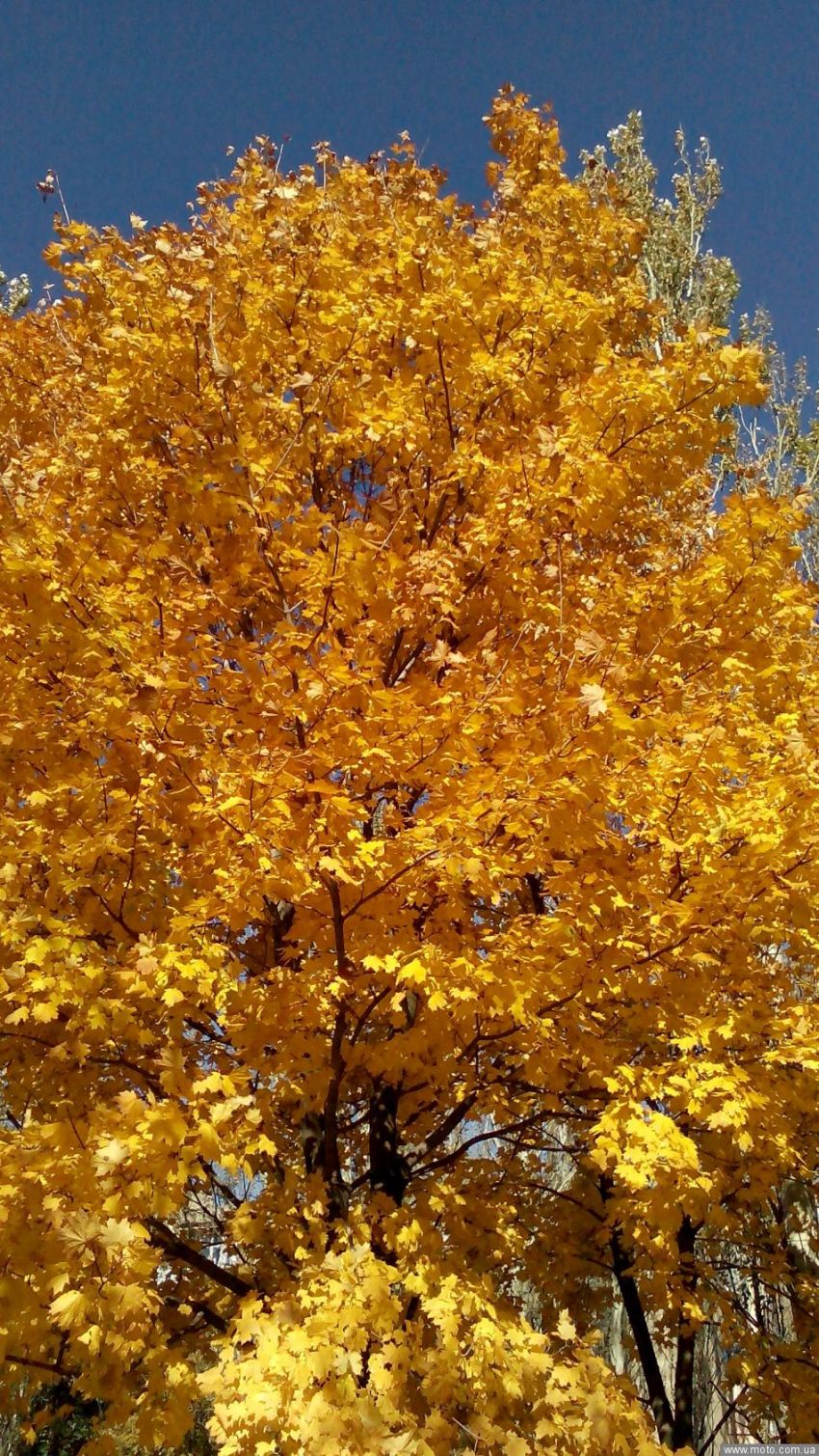 фото 8