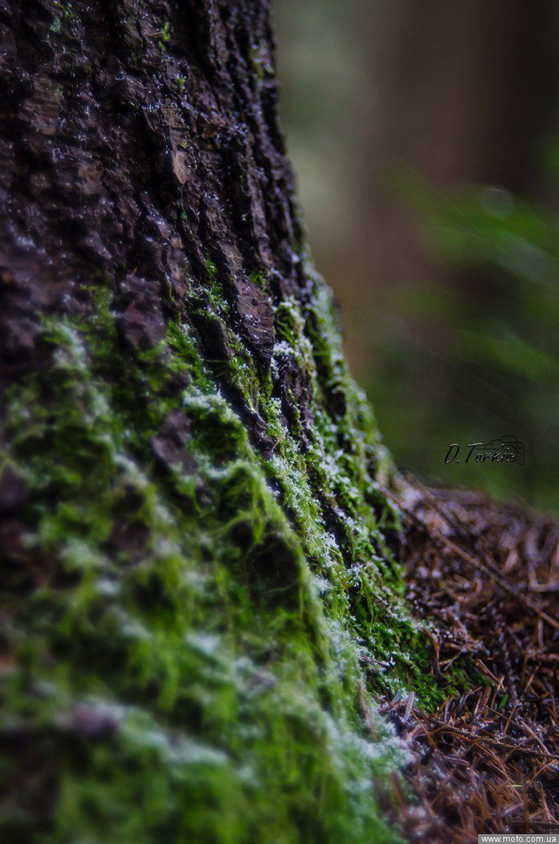 фото 6