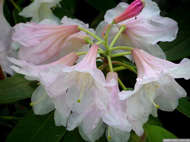 фото 2