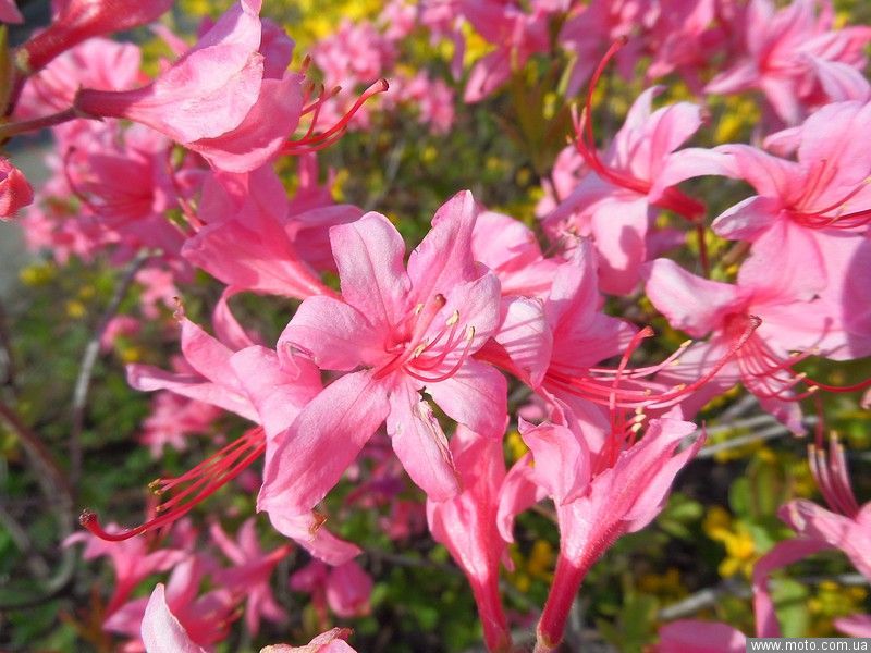 фото 3