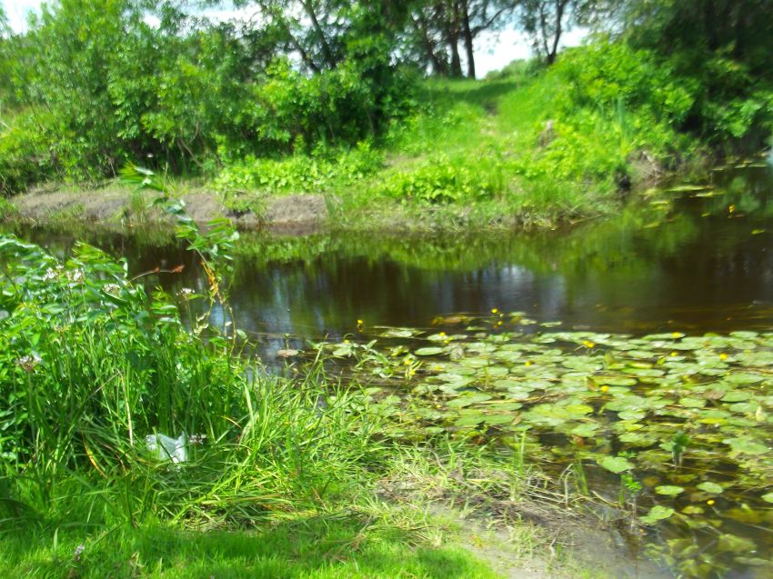 фото 8