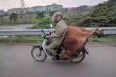 Не перестаю дивуватися