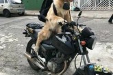 На прогулянку