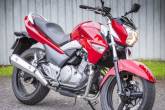 «Маленький великий мотоцикл» Suzuki Inazuma 250 прийшов у Європу