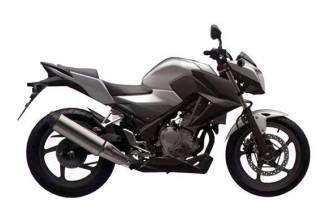 Пополнение легкой кавалерии: мотоцикл Honda CBR300R Naked ожидается в 2015 году
