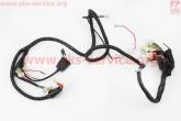 Проводка центральна 150cc Storm (Viper)