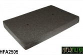 Фільтр повітряний HIFLO FILTRO HFA2505