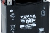 Аккумулятор сухозаряженный AGM 18Ah 270A (L175*W87*H155mm) YUASA YTX20-BS