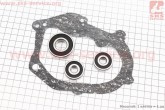 Підшипники редуктора Yamaha GEAR 2T 3шт (6200 2RS; 6200 RS; 6203 2RS) + прокладка Україна