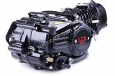 Двигатель в сборе Дельта/Альфа/Актив (125CC) - водяное охлаждение (с радиатором и вентилятором, без электростартера) BLACK - TATA LUX