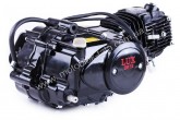 Двигатель в сборе Дельта/Альфа/Актив (110CC) - механика (без электростартера,с карбюратором) BLACK - TATA LUX